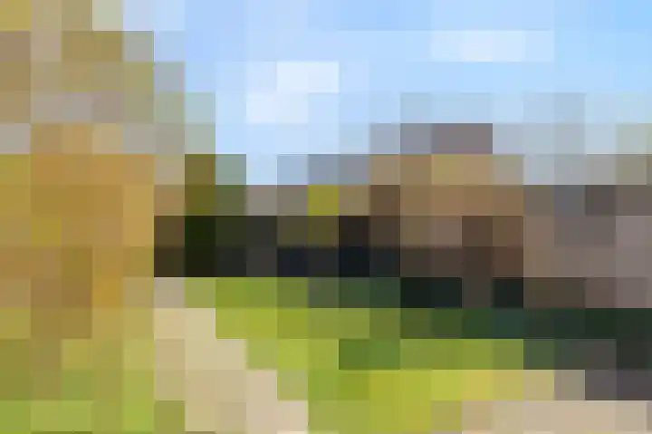Vrijheidslaan 68 Breukelen thumbnail 32
