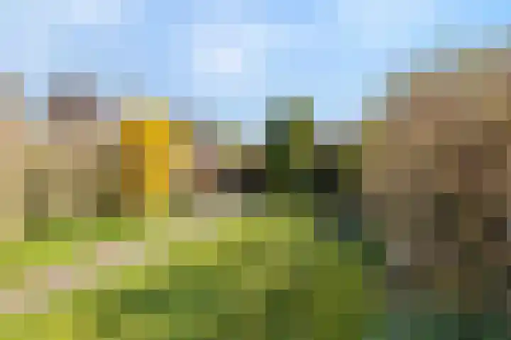 Vrijheidslaan 68 Breukelen thumbnail 33