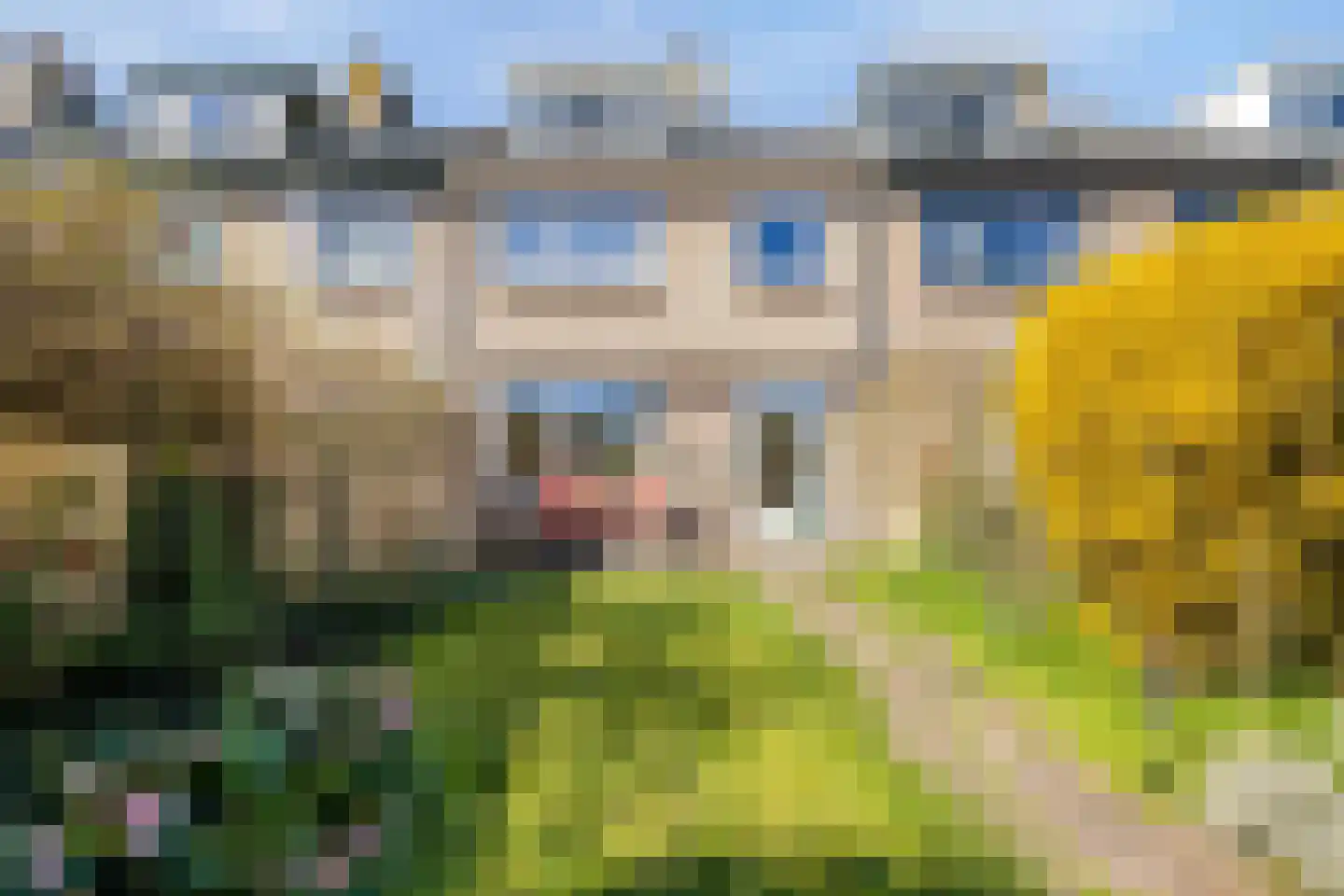 Vrijheidslaan 68 Breukelen thumbnail 4