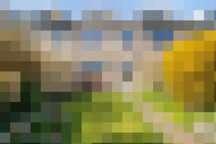 Vrijheidslaan 68 Breukelen thumbnail 4
