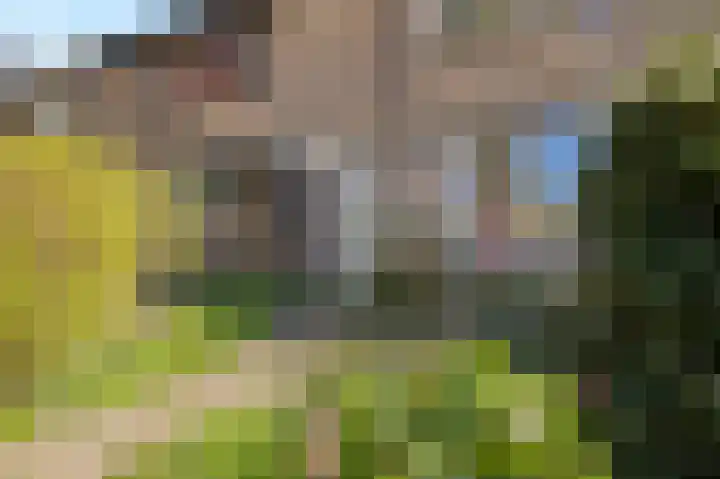 Vrijheidslaan 68 Breukelen thumbnail 8
