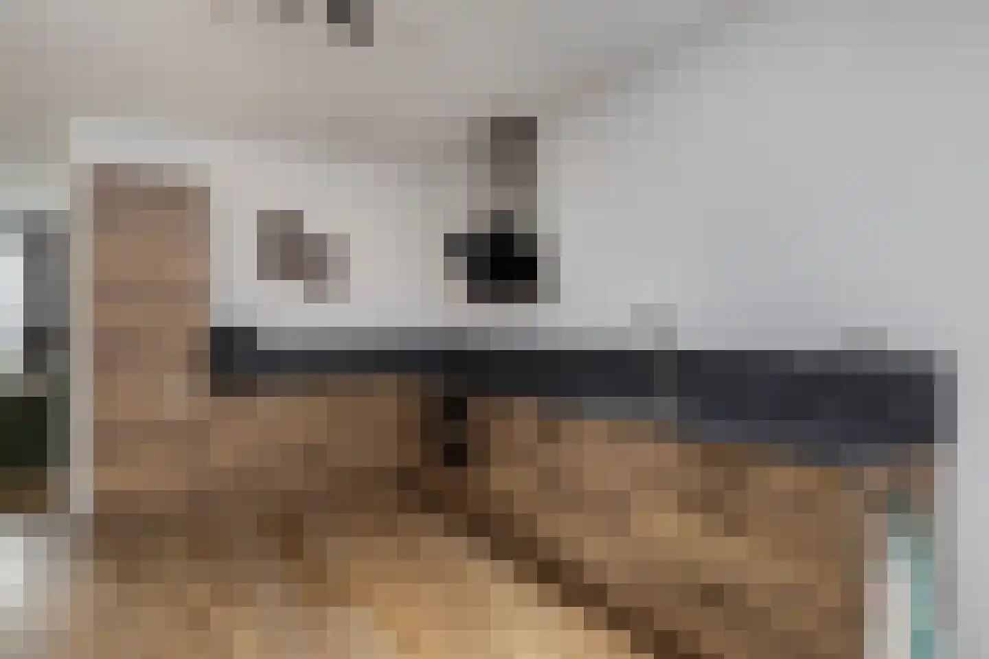 Vrijheidslaan 7 Appingedam thumbnail 15