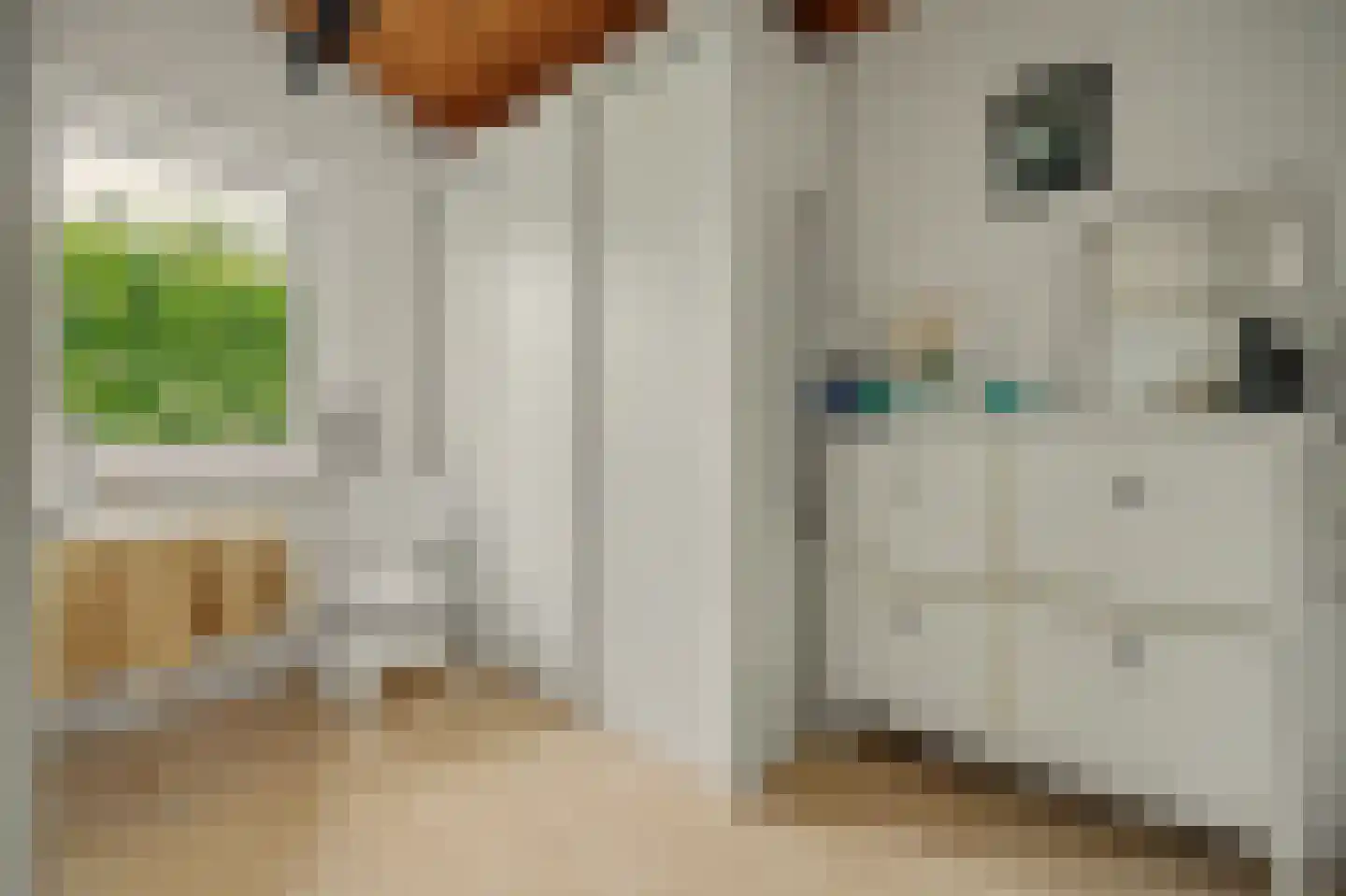Vrijheidslaan 7 Kortgene thumbnail 21