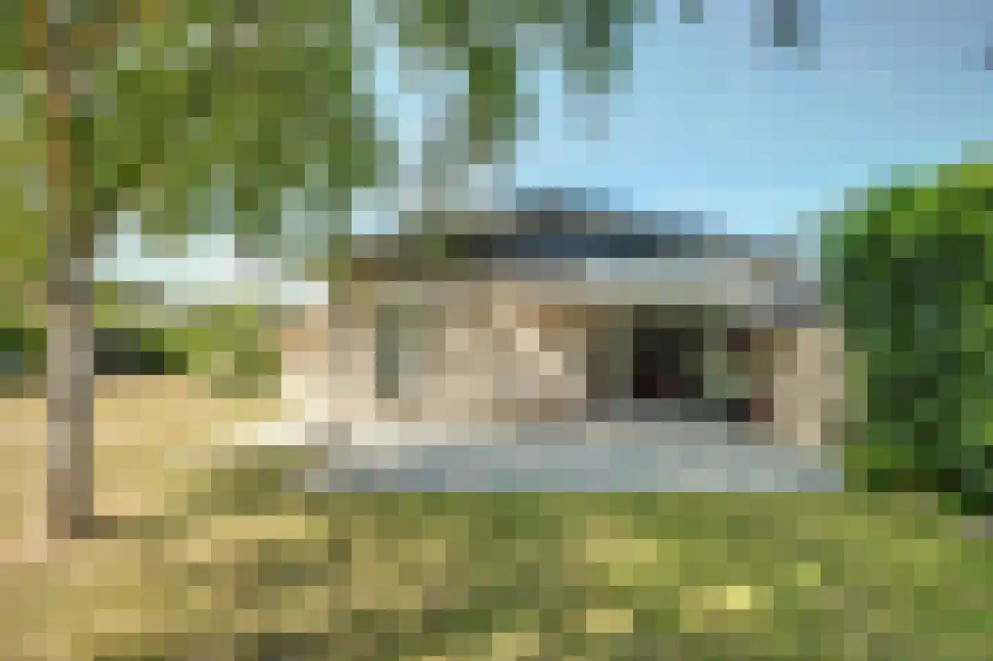 Vrijheidslaan 7 Kortgene foto 3