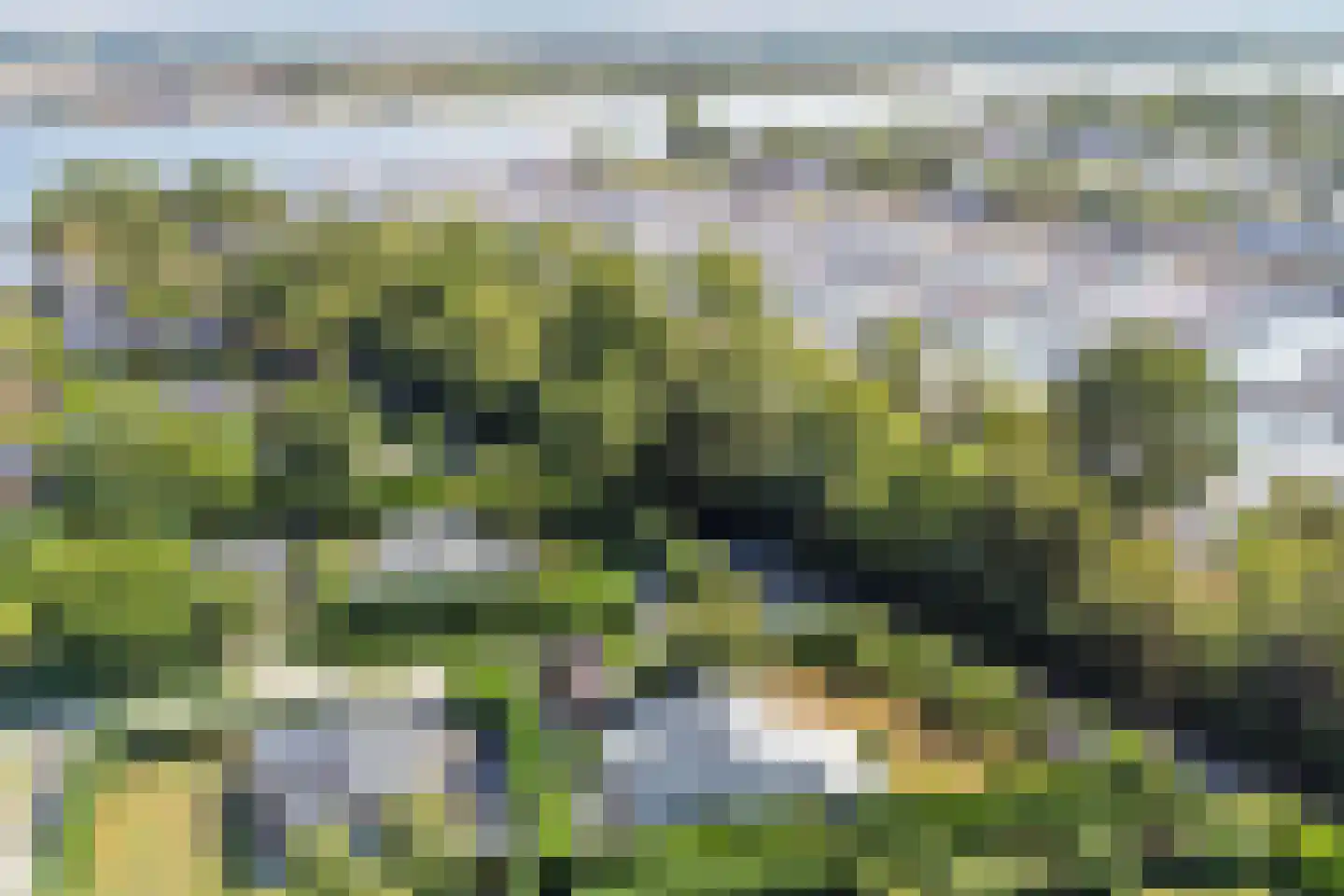 Vrijheidslaan 7 Kortgene thumbnail 37