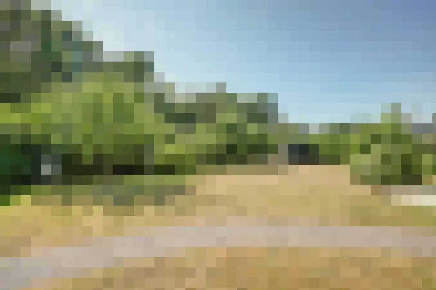 Vrijheidslaan 7 Kortgene thumbnail 38