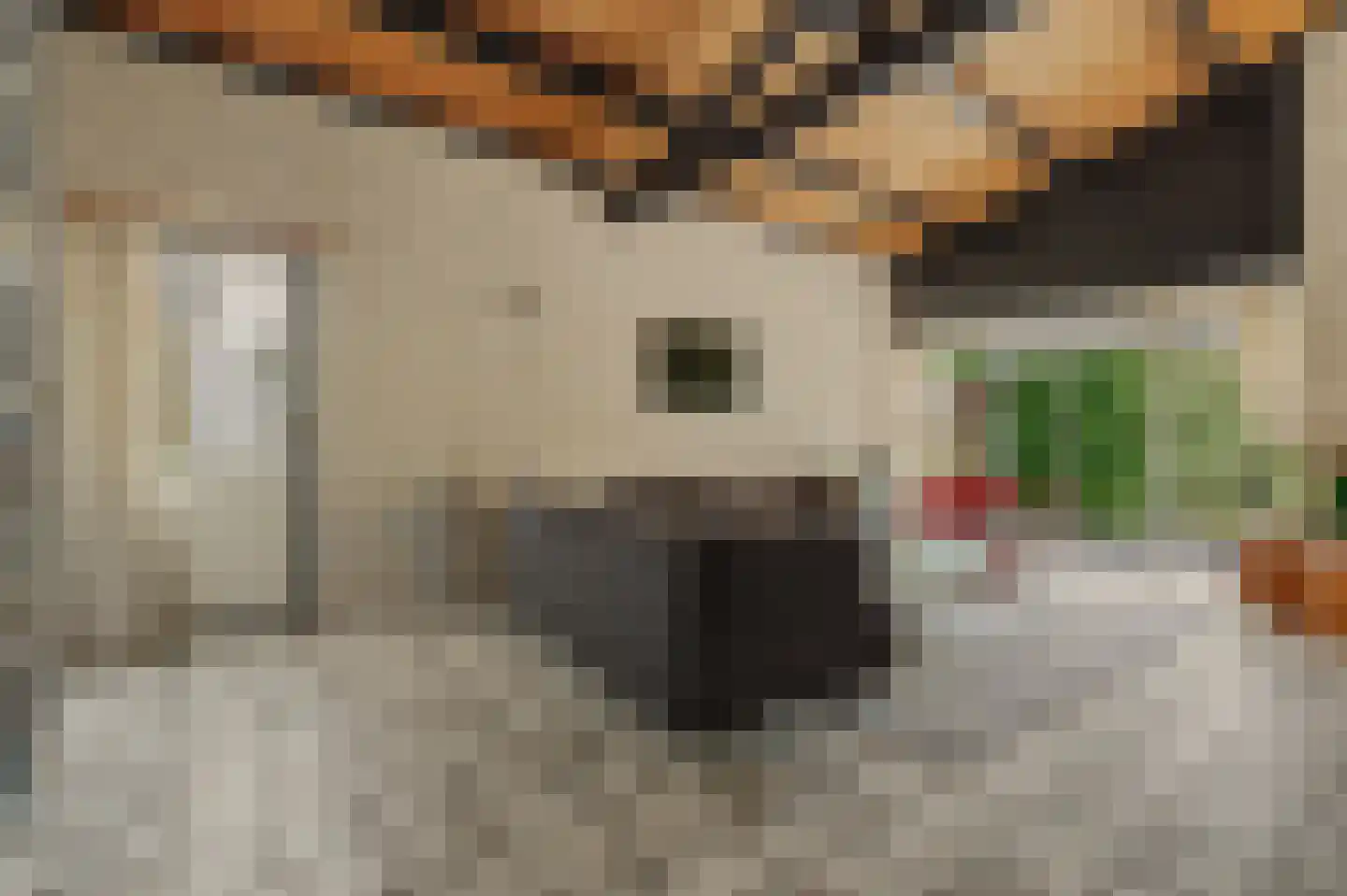 Vrijheidslaan 7 Kortgene thumbnail 6