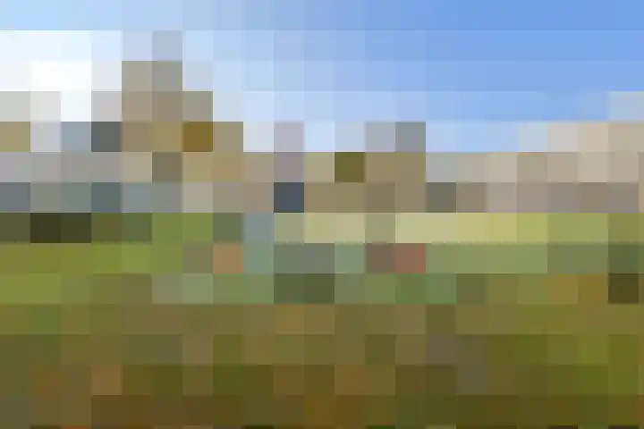 Vrijheidslaan 79 Breukelen thumbnail 28