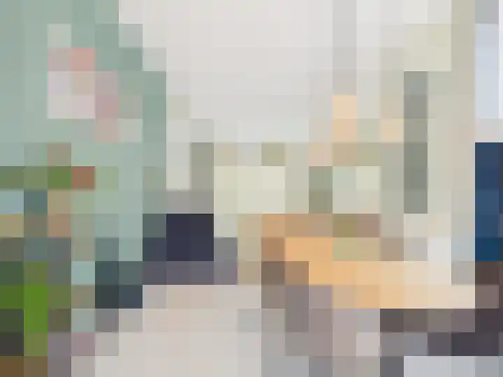 Vrijheidslaan 8 Terneuzen thumbnail 11
