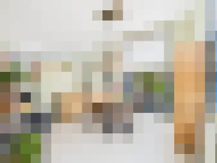 Vrijheidslaan 8 Terneuzen thumbnail 12