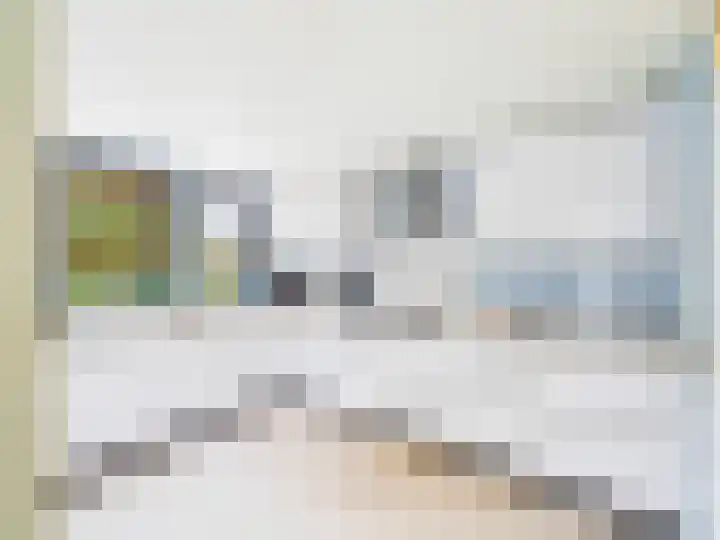 Vrijheidslaan 8 Terneuzen thumbnail 13