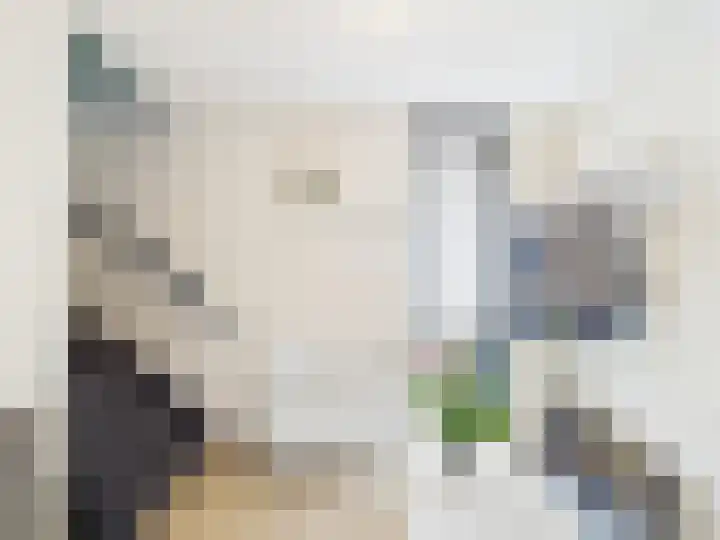 Vrijheidslaan 8 Terneuzen thumbnail 21