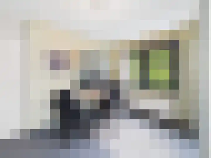 Vrijheidslaan 8 Terneuzen thumbnail 25