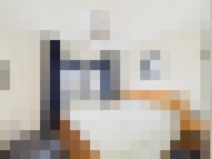 Vrijheidslaan 8 Terneuzen thumbnail 26