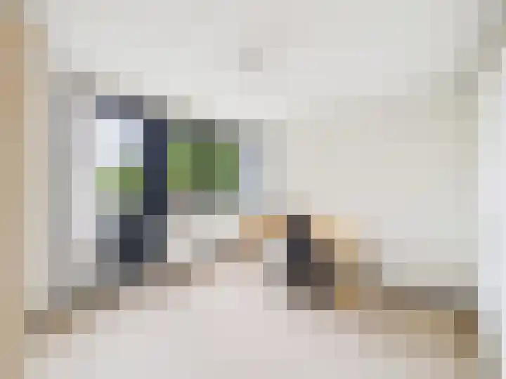 Vrijheidslaan 8 Terneuzen thumbnail 28