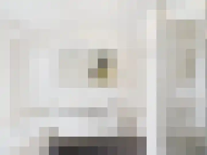 Vrijheidslaan 8 Terneuzen thumbnail 32