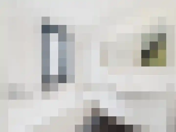 Vrijheidslaan 8 Terneuzen thumbnail 33