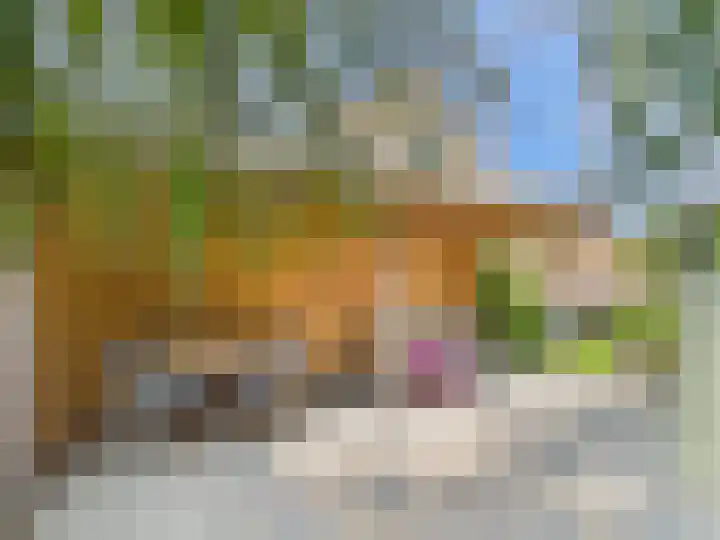Vrijheidslaan 8 Terneuzen thumbnail 48