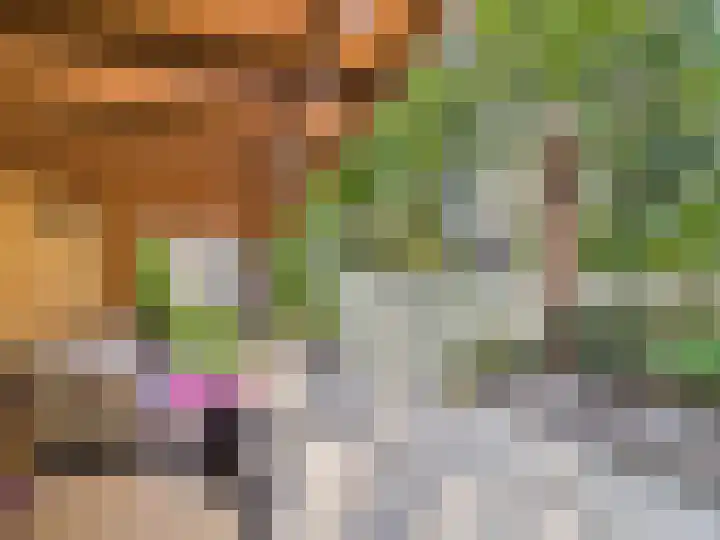 Vrijheidslaan 8 Terneuzen thumbnail 50