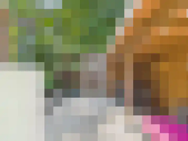Vrijheidslaan 8 Terneuzen thumbnail 51