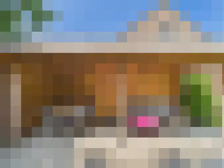Vrijheidslaan 8 Terneuzen thumbnail 52
