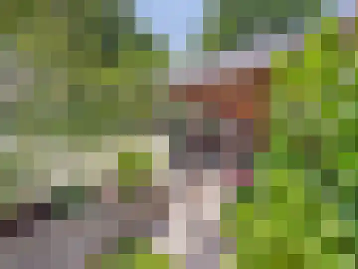 Vrijheidslaan 8 Terneuzen thumbnail 53