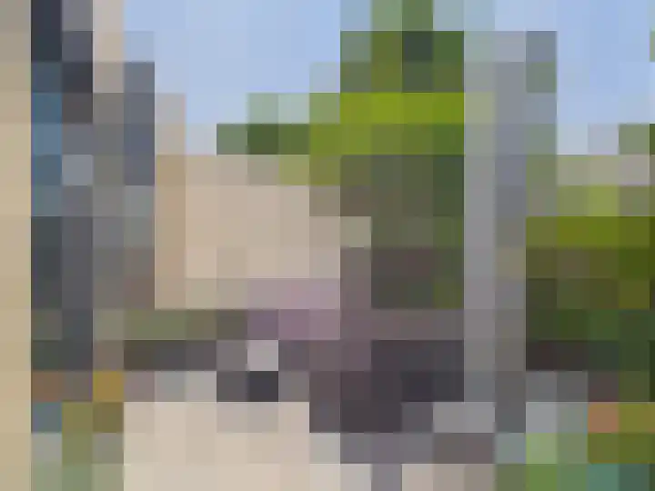 Vrijheidslaan 8 Terneuzen thumbnail 57