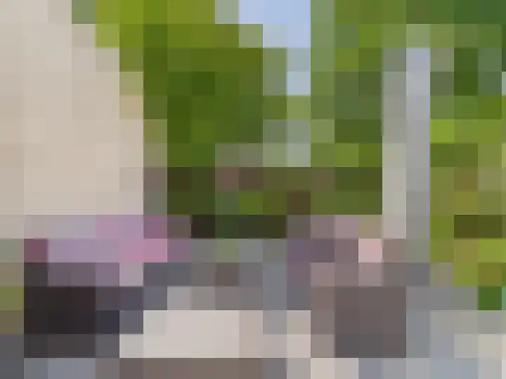 Vrijheidslaan 8 Terneuzen thumbnail 58