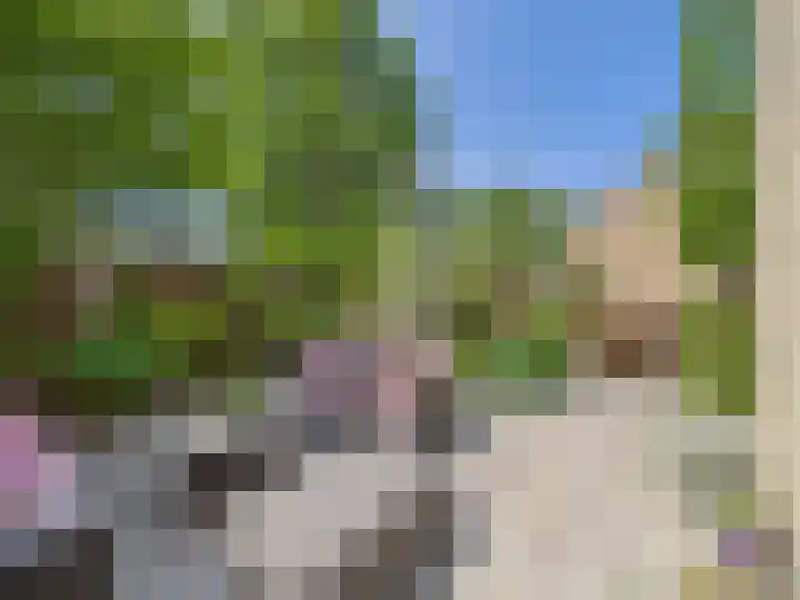 Vrijheidslaan 8 Terneuzen thumbnail 59