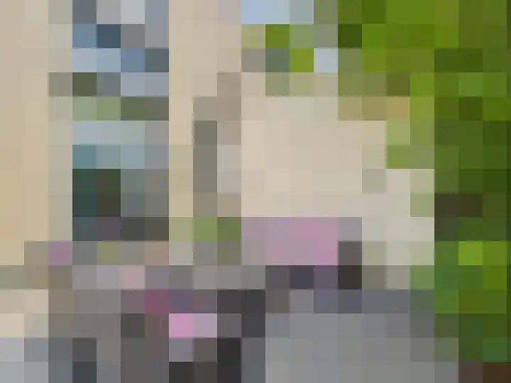 Vrijheidslaan 8 Terneuzen thumbnail 60