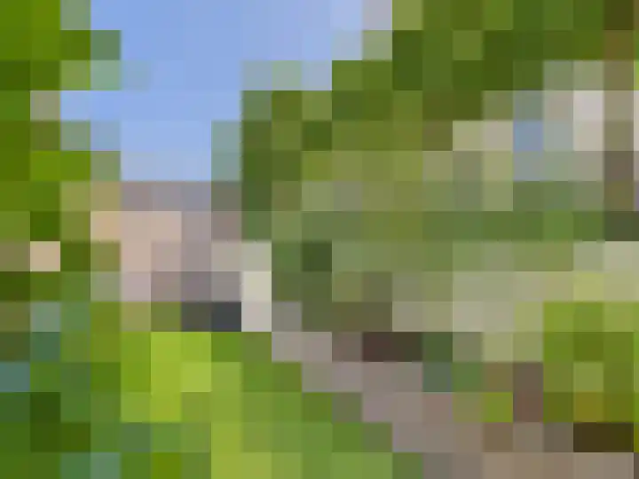 Vrijheidslaan 8 Terneuzen thumbnail 61