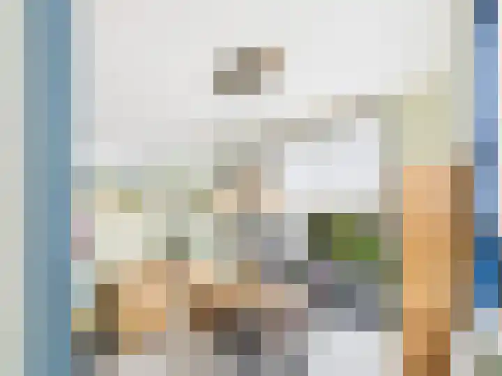 Vrijheidslaan 8 Terneuzen thumbnail 7