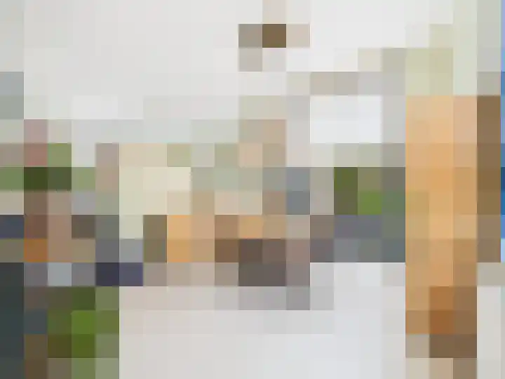 Vrijheidslaan 8 Terneuzen thumbnail 8