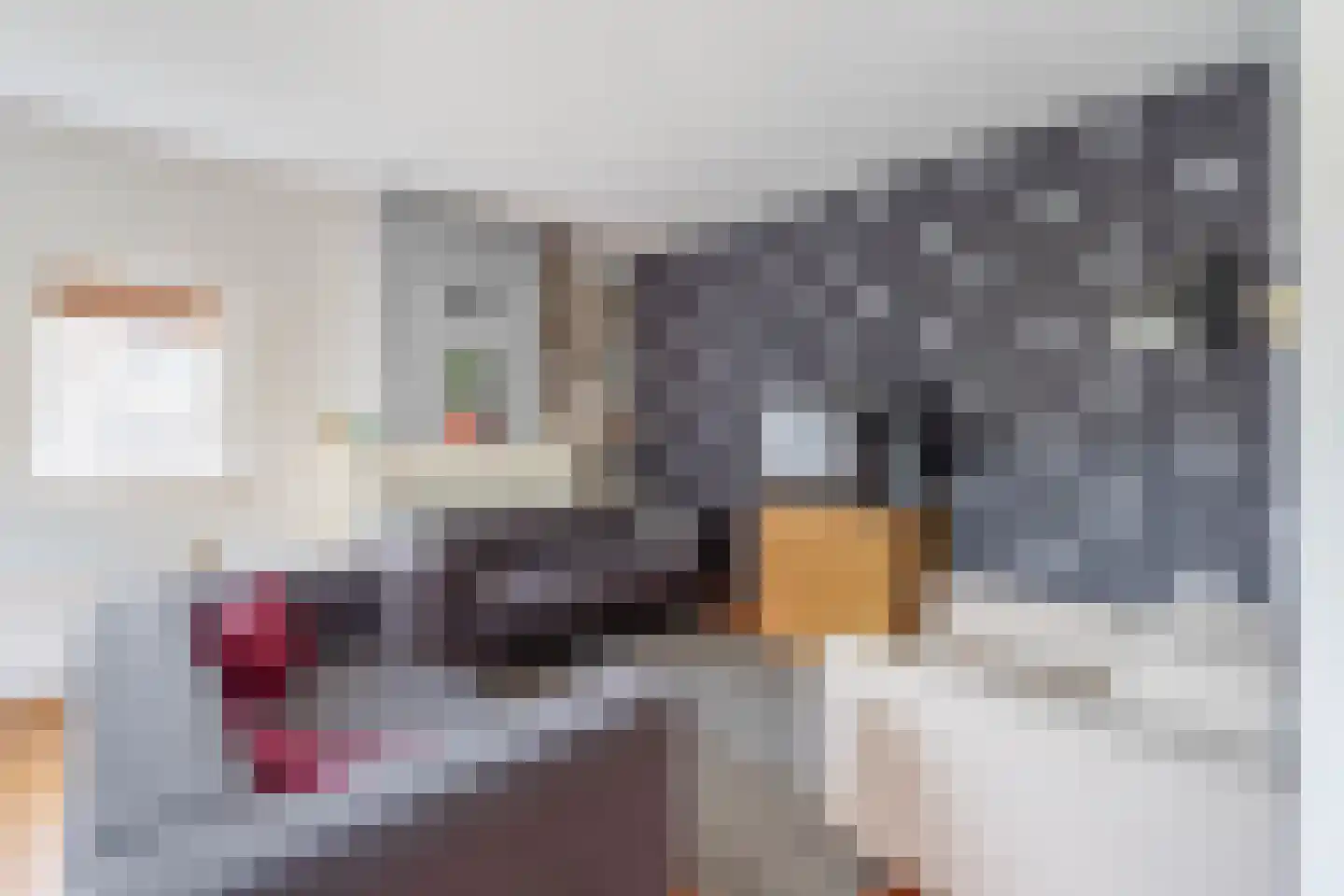 Vrijheidslaan 97 Gouda thumbnail 26