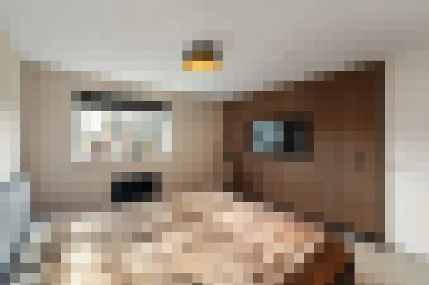 Vrijheidsplaat 12 Emmeloord thumbnail 36