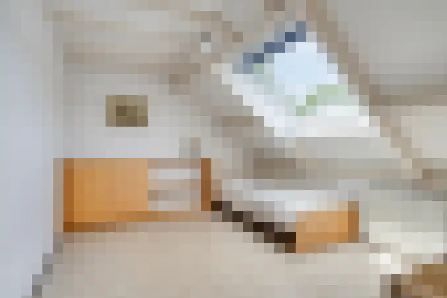 Vrijheidsplaat 14 Emmeloord thumbnail 35