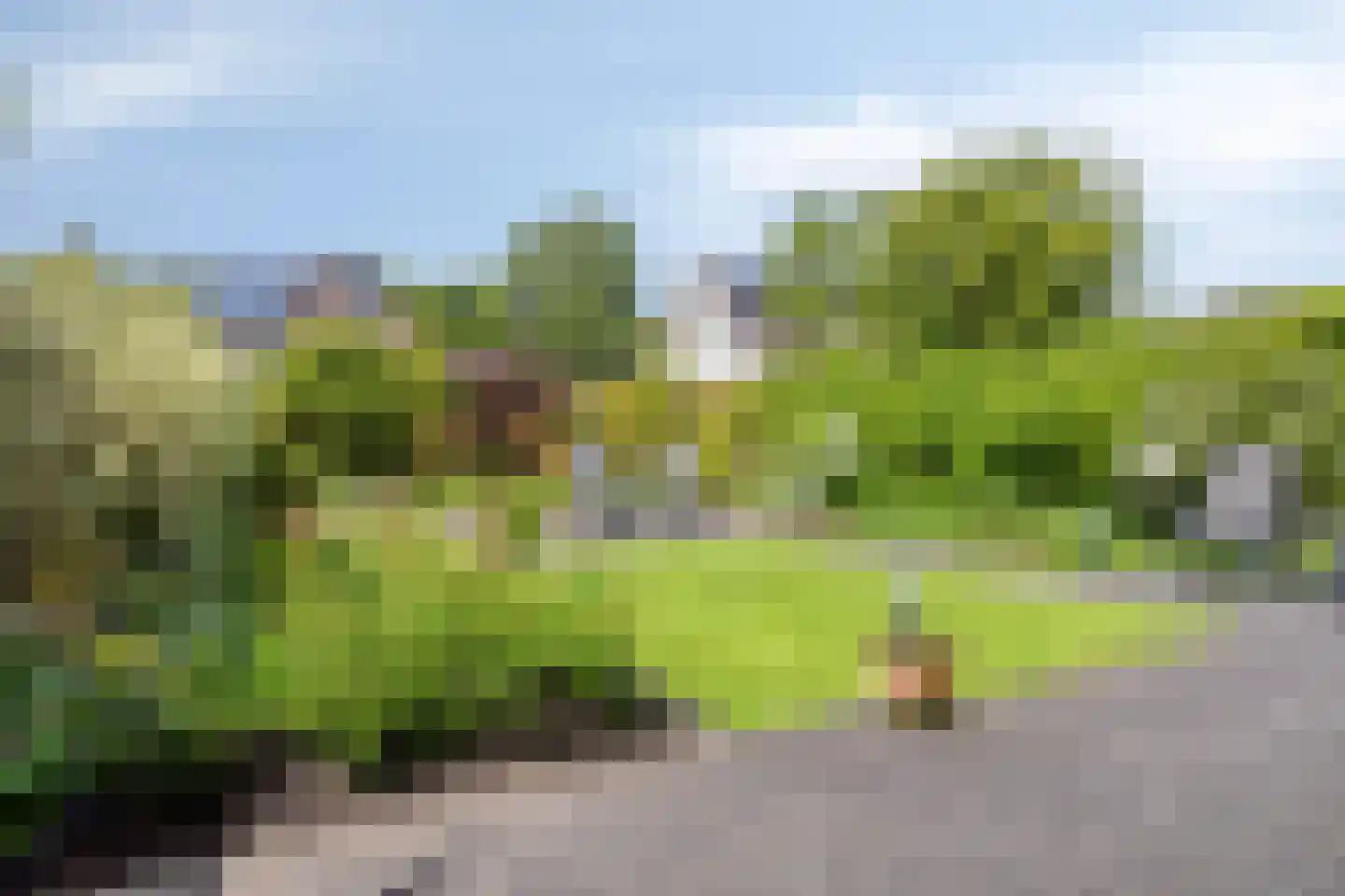 Vrijheidsplaat 14 Emmeloord thumbnail 40
