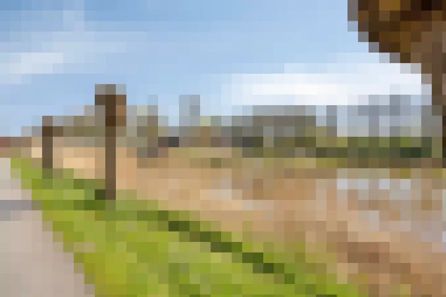 Vrijheidsplaat 14 Emmeloord thumbnail 48