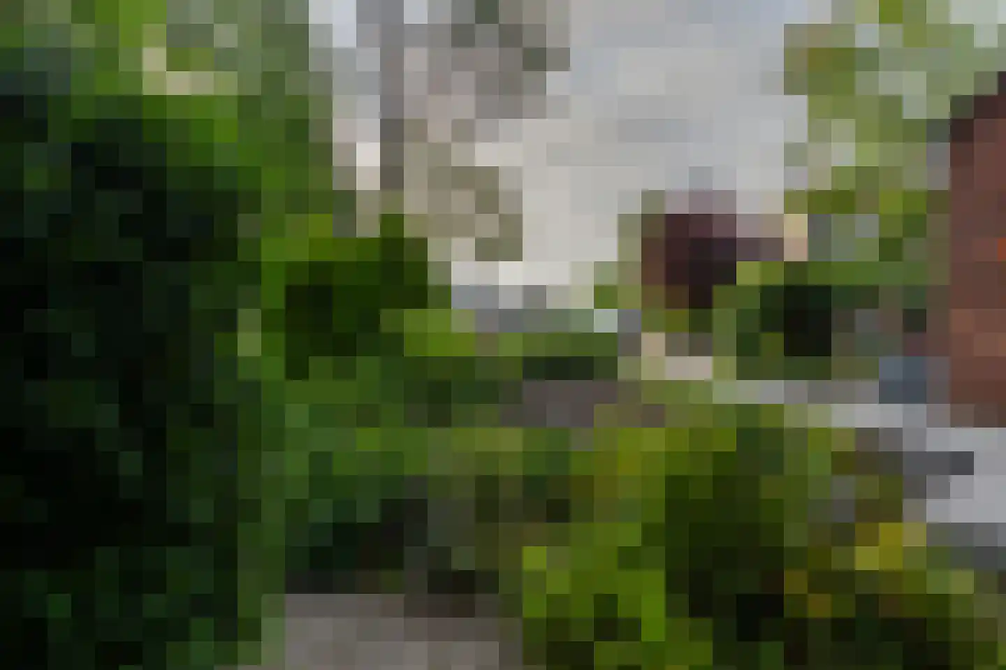 Vrijheidsplaat 52 Emmeloord thumbnail 12