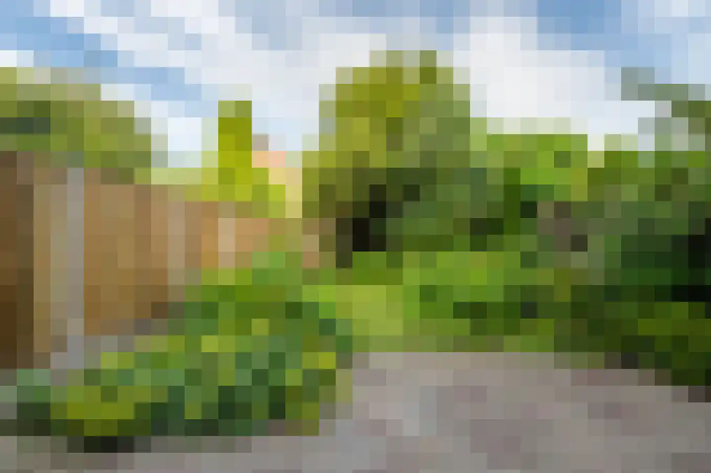 Vrijheidsplaat 52 Emmeloord thumbnail 26