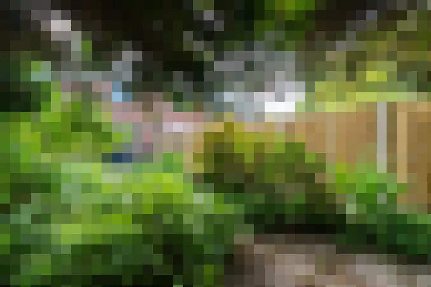 Vrijheidsplaat 52 Emmeloord thumbnail 28