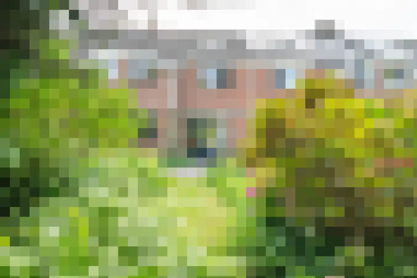 Vrijheidsplaat 52 Emmeloord thumbnail 29