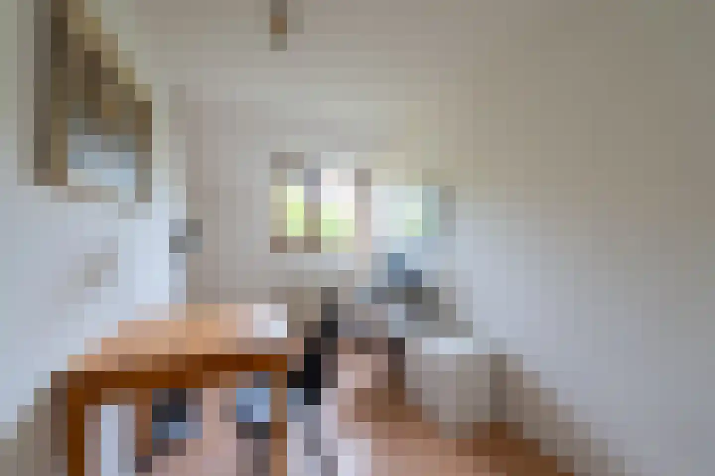 Vrijheidsplaat 52 Emmeloord thumbnail 35