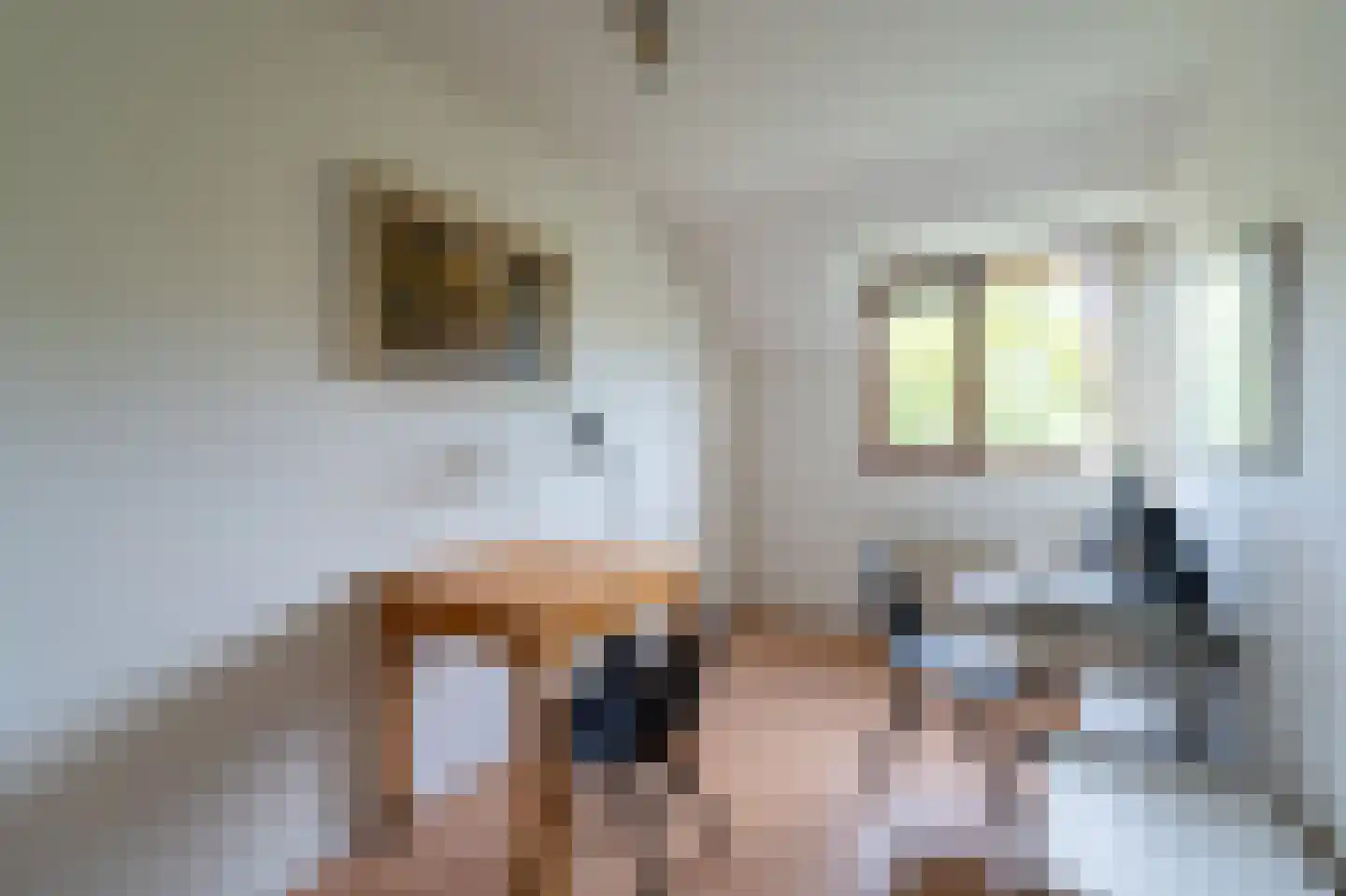 Vrijheidsplaat 52 Emmeloord thumbnail 36