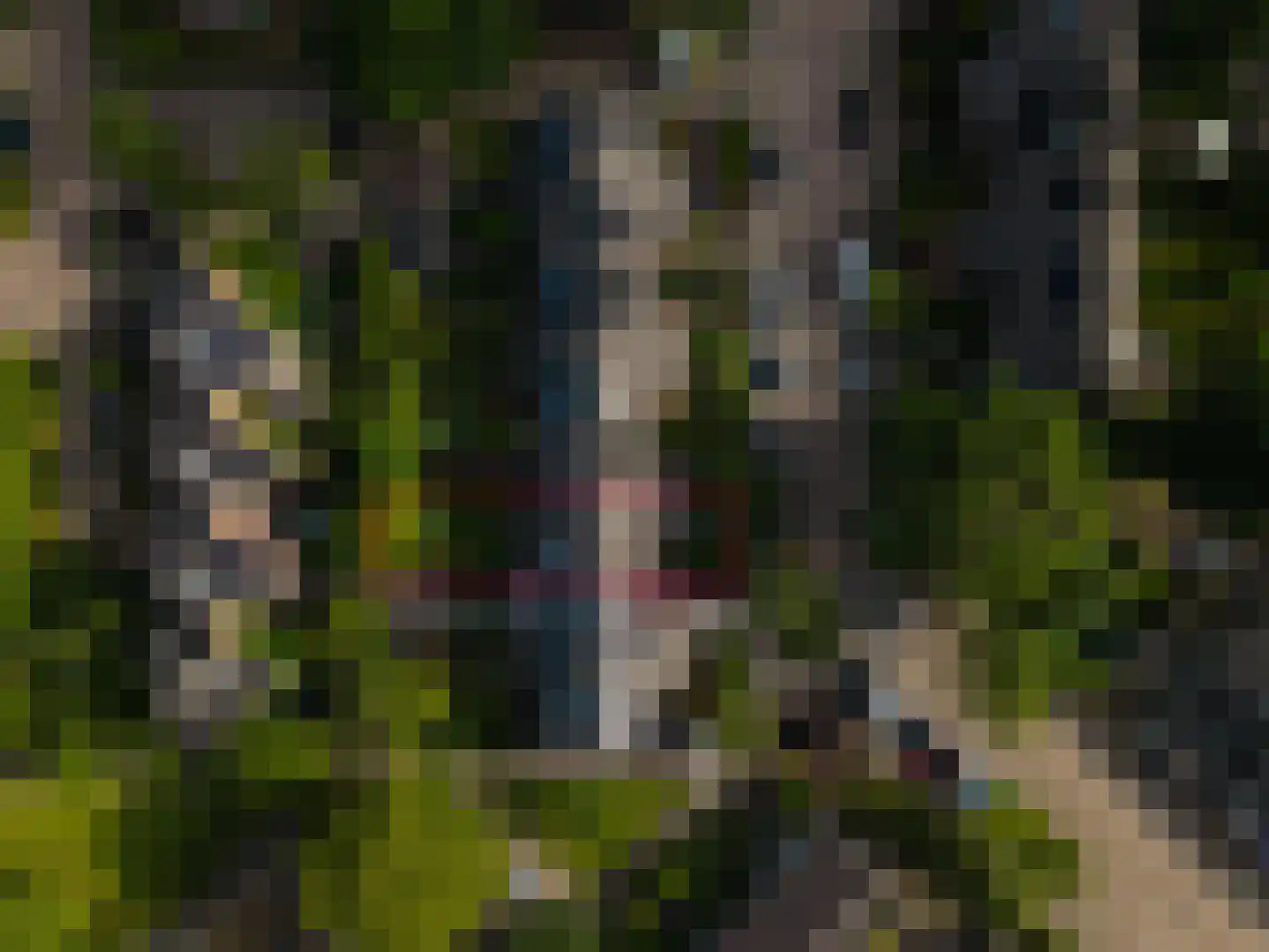 Vrijheidsplaat 52 Emmeloord thumbnail 6