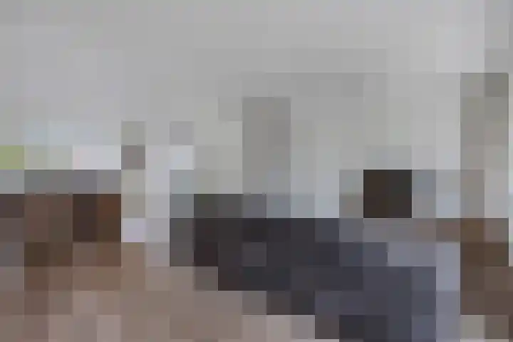 Vrijheidsplaat 61 Emmeloord thumbnail 15