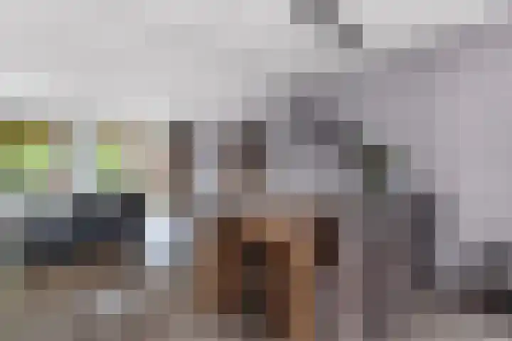 Vrijheidsplaat 61 Emmeloord thumbnail 22