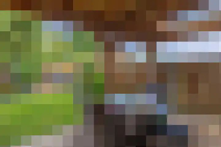 Vrijheidsplaat 61 Emmeloord thumbnail 29
