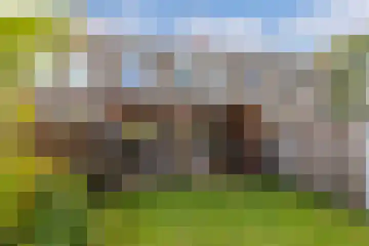 Vrijheidsplaat 61 Emmeloord thumbnail 31