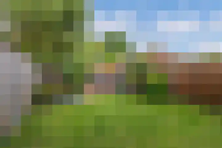 Vrijheidsplaat 61 Emmeloord thumbnail 33